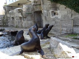 Tiergarten Schönbrunn am 23.03.2023